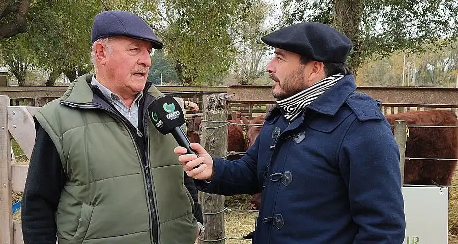 Rene Raza René Kappes y la Revitalización de la Raza Shorthorn en la Expo Otoño ...
