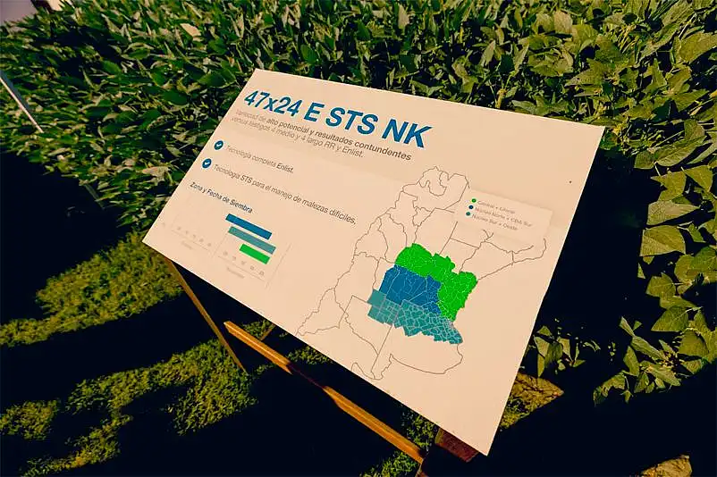 Una variedad de soja NK logró el primer puesto en tres localidades de la red CREA Oeste Arenoso