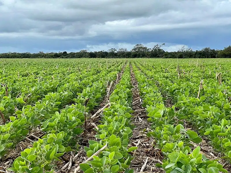 El año Niño obliga a practicar  una nutrición inteligente